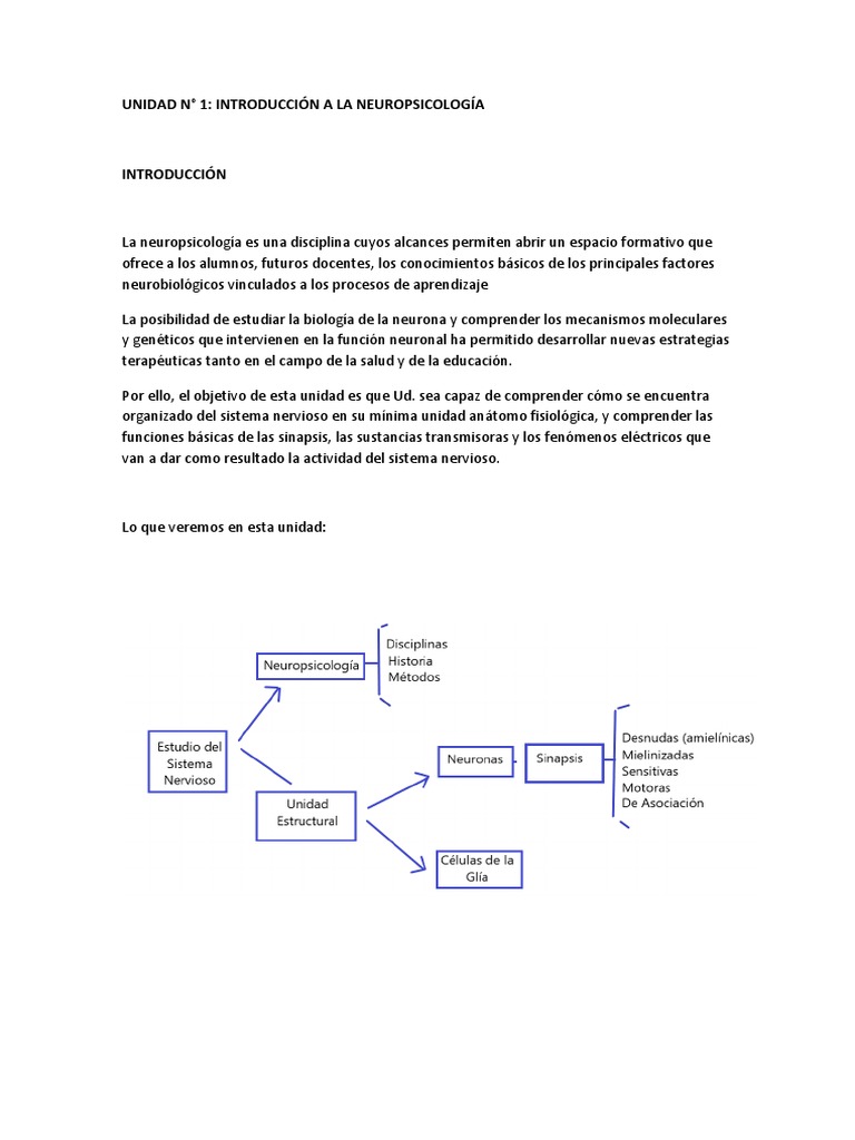 Unidad 1 | PDF | Sinapsis | Neurona