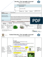 Micro Discipl de CC - NN PROY 4