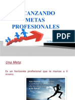 Alcanzando Metas Profesionales