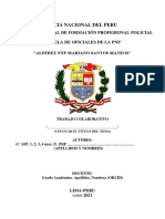 Estructura de Trabajo Colaborativo Eo PNP