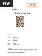 Download Rita I21109027 by Rita Lim SN57989105 doc pdf