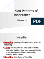 Mendelian Patterns of Inheritance