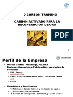 CCC Gold Carbons Training Shahuindo Peru - AMV