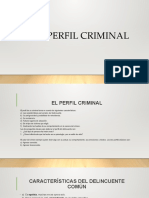 Tema 4 - El Perfil Criminal
