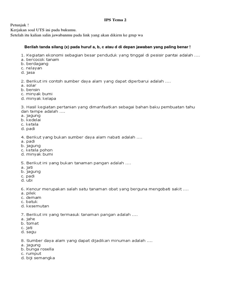 IPS Tema 2 | PDF