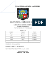 Informe N°2 - Propiedades de Los Gases Ideales