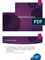 Neurobiologia 2021