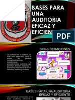 Bases para Una Auditoria Eficaz y Eficiente