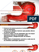 Neoplasias Gastricas Benignas