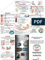 Trictico Primeros Auxilios Completo