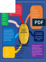 Impacto Del Desarrollo Organizacional