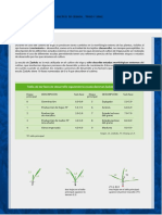 Escala Zadoks cultivo cebada trigo maíz