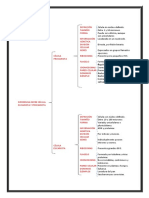 Diferencia Entre Célula Eucariota y Procariota