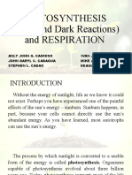 Photosynthesis Respiration Report Final
