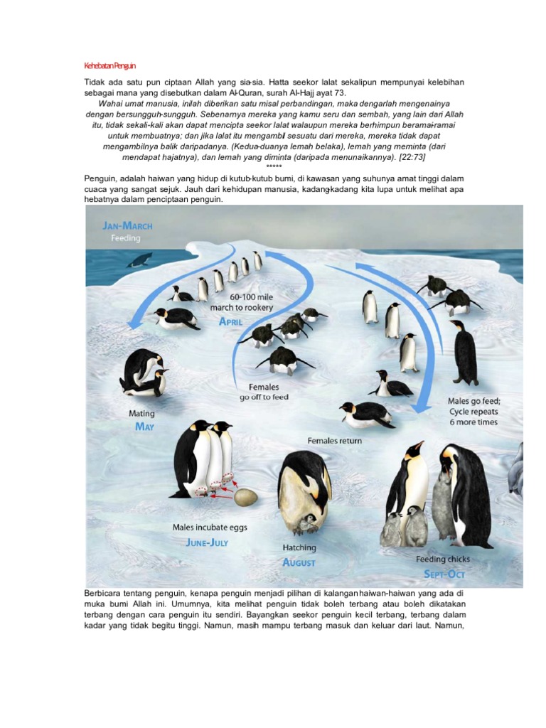 Kehebatan Penguin Pdf