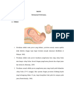 BAB II Seminar (Persalinan Normal)