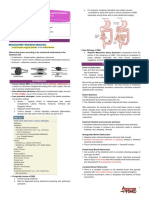 2 Intestinal-Obstruction