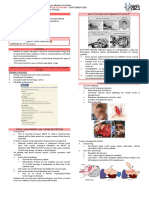 Far Eastern University Medical Trauma Principles