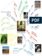 Mapa Mental - Contaminacion Del Suelo