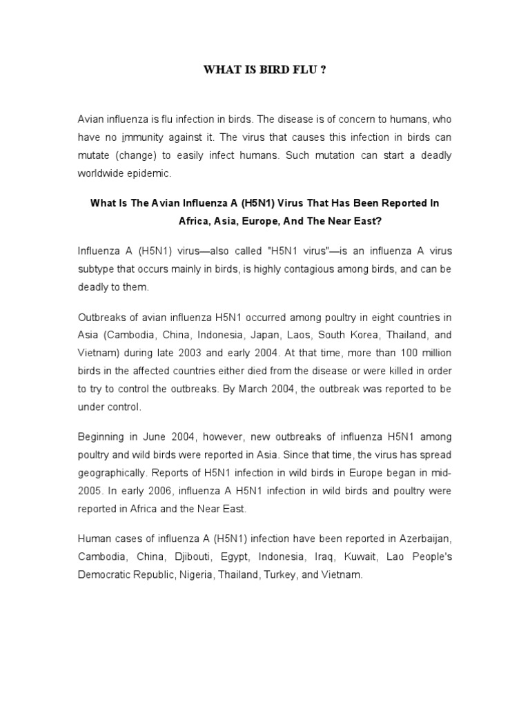 What Is Bird Flu | PDF | Influenza A Virus Subtype H5 N1 | Avian Influenza
