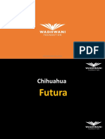 Presentación Programa Chihuahua Futura - Wadhwani