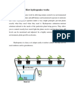 How Hydroponics Works and Componentys of Hydroponics