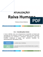 Atualizacao Raiva Humana