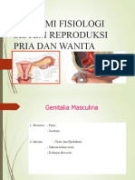 Anfis Reproduksi