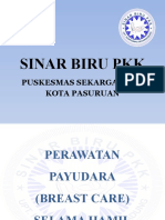 Perawatan Payudara Selama Hamil