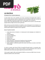 Rucola_maggio_2015
