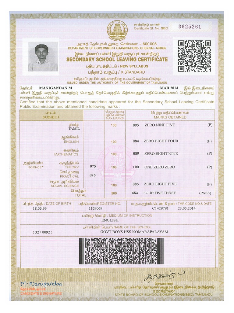 10 Mark Sheet | PDF