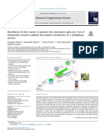 Biorefinery of Olive Leaves To Produce Dry Oleuropein Aglycone Use Ofhomemade Ceramic Capillary Biocatalytic Membranes in A Multiphasesystem