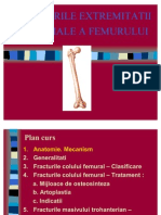 NICOLESCU Fracturi Femur