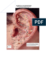Mapa Auriculoterapia para Aluno.