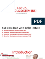 Lect - 7-Nervous System (NS) : Dr. Ahmed AL-Baghdadi, PH.D
