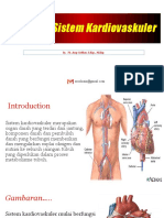 Anatomi Kardiovaskuler
