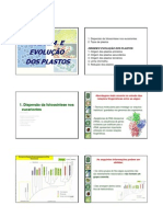 Evolução dos plastos em eucariontes fotossintéticos