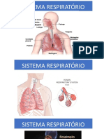 SISTEMA RESPIRATÓRIO