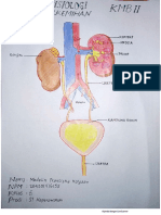 E-Anatomi Fisiologi Sistem Perkemihan - Medelin Fransiska Kolyaan - 204201416155