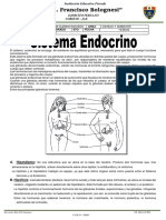 Sistema Endocrino