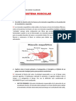 Trabajo Sistema Muscular