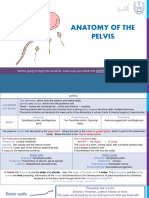 4 - Anatomy of Pelvis