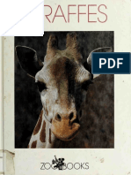 ZOOBGiraffes