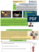 Evaluación Diagnóstica Ciencia y Tecnología 3,4 y 5 Secundaria 2022