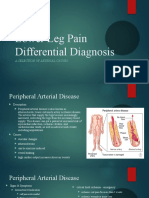 Lower Leg Pain Differential Diagnosis - Arterial