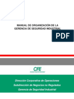 Manual de Organizacion de La Gerencia de Seguridad Industrial