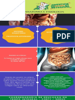 CARD-5-1 Anatomia 