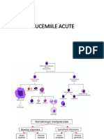 Curs3 Hematologie Anv seriaCD LA