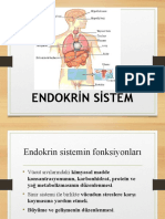 FTR Endokrinn Sistemlkoj