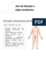 Noções de Direção e Posição Anatómica